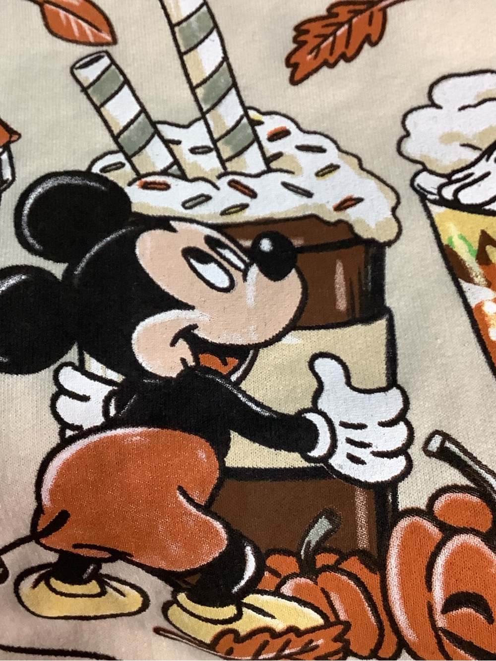 Disneyland Resort ~ Halloween ~ Pumpkin Spice & Everything Nice ~ Sweatshirt M-L - Picture 13 of 16